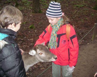 weihnachten8.JPG