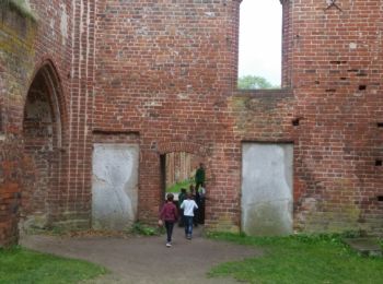 7-w1000-h1000.jpg