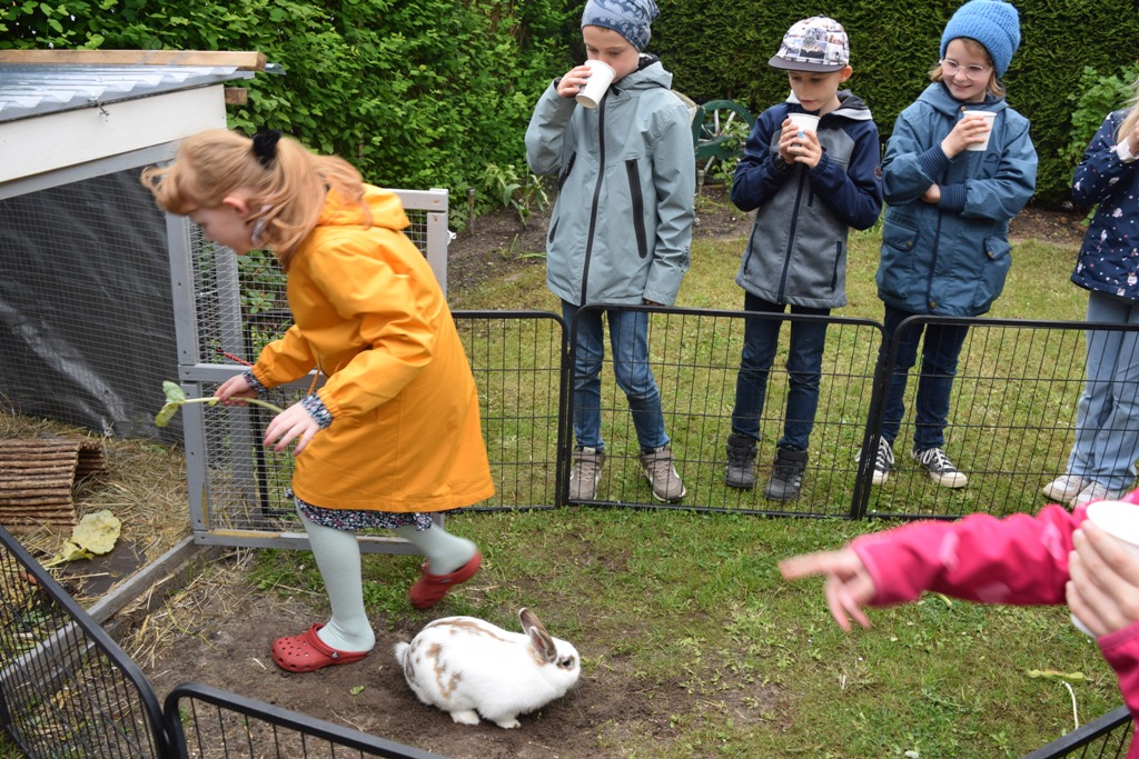 DSC_0035.JPG